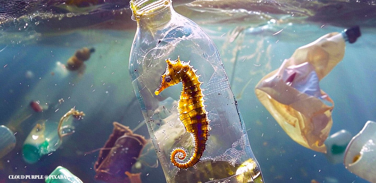 Bottled Water Has 3x More Nanoplastics Than Tap Water