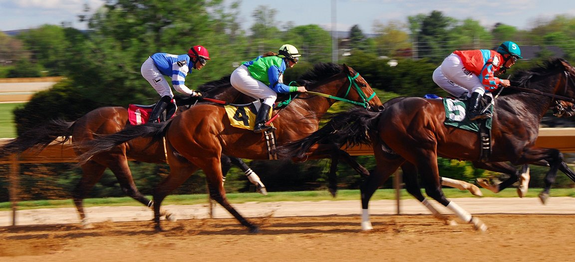 Hundreds of Thoroughbreds Die Yearly on the Race Track