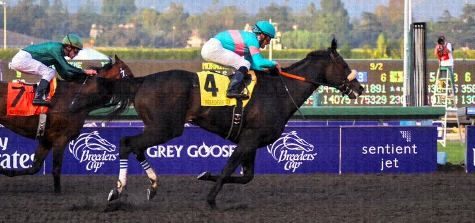 Zenyatta: The Life, Reign, and Legacy of Racing’s Queen